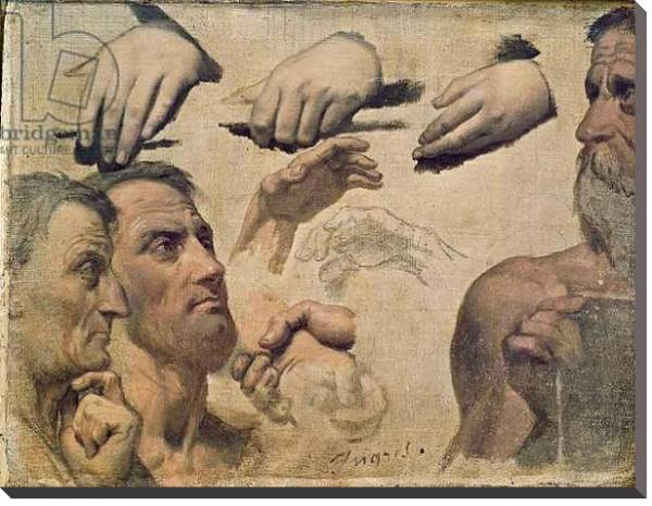 Постер Study of Heads and Hands for the Apotheosis of Homer с типом исполнения На холсте без рамы