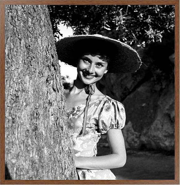 Постер Hepburn, Audrey 69 с типом исполнения На холсте в раме в багетной раме 1727.4310