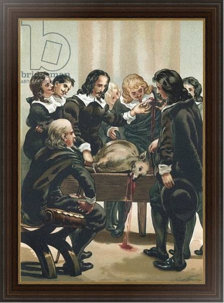 Постер William Harvey demonstrating the circulation of the blood с типом исполнения На холсте в раме в багетной раме 1.023.151