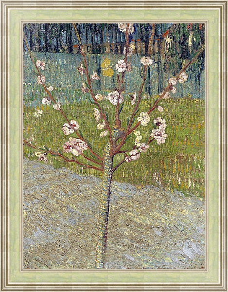 Постер Миндальное дерево в цвету, 1888 с типом исполнения На холсте в раме в багетной раме NA053.0.113