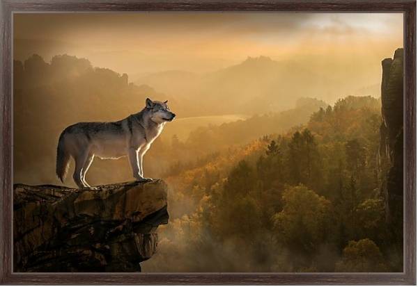 Постер Волк на скале с типом исполнения На холсте в раме в багетной раме 221-02