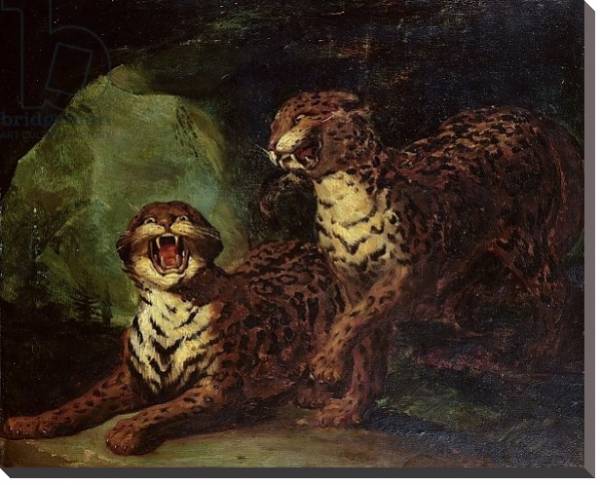Постер Two Leopards, c. 1820 с типом исполнения На холсте без рамы