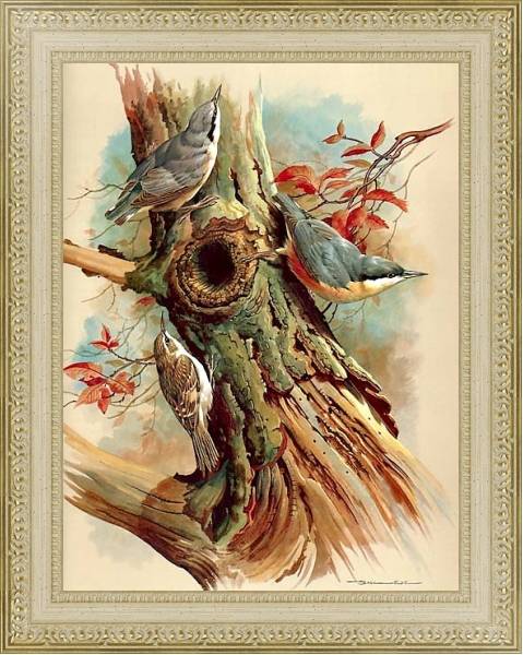 Постер Nuthatch And Tree Creeper с типом исполнения Акварель в раме в багетной раме 484.M48.725