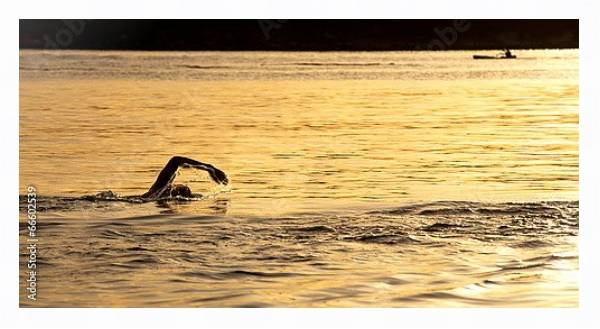 Постер Плавание в океане на закате, Сидней с типом исполнения На холсте в раме в багетной раме 221-03
