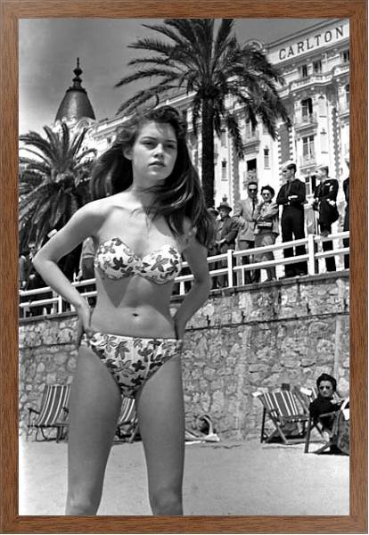 Постер Bardot, Brigitte 11 с типом исполнения На холсте в раме в багетной раме 1727.4310