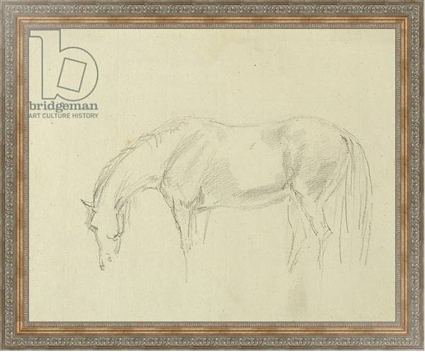 Постер A horse grazing с типом исполнения На холсте в раме в багетной раме 484.M48.310