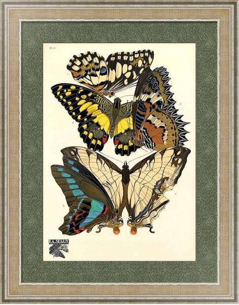Постер Papillons by E. A. Seguy №20 с типом исполнения Акварель в раме в багетной раме 485.M40.584