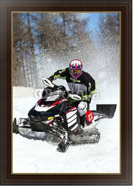 Постер Гонки на снегоходах с типом исполнения На холсте в раме в багетной раме 1.023.151