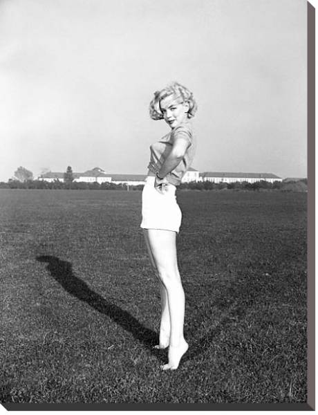 Постер Monroe, Marilyn 15 с типом исполнения На холсте без рамы
