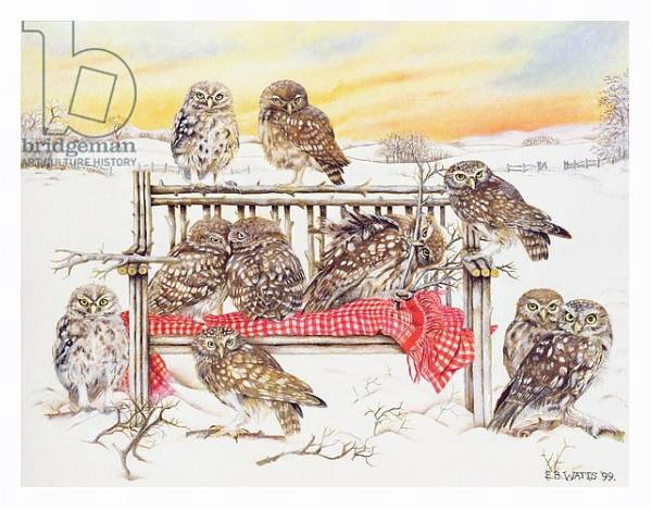 Постер Little Owls on Twig Bench, 1999 с типом исполнения На холсте в раме в багетной раме 221-03