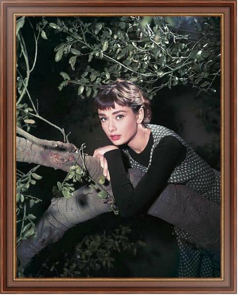 Постер Hepburn, Audrey (Sabrina) 12 с типом исполнения На холсте в раме в багетной раме 35-M719P-83