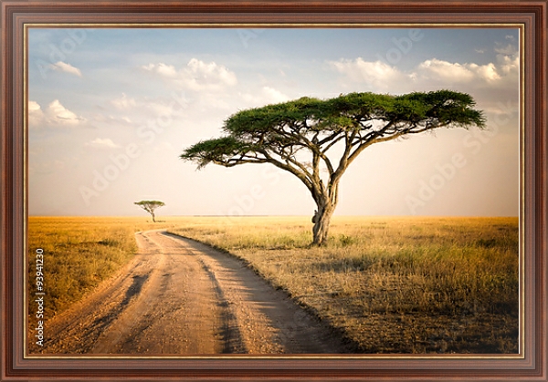 Постер Африканский пейзаж, Танзания с типом исполнения На холсте в раме в багетной раме 35-M719P-83