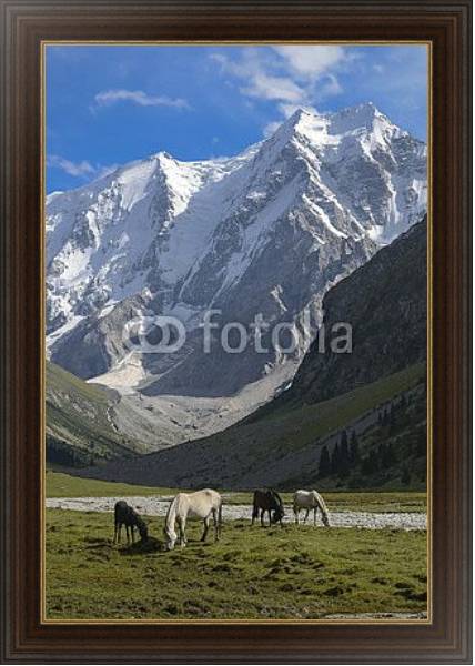Постер Дикие лошади на солнечной поляне в горах 2 с типом исполнения На холсте в раме в багетной раме 1.023.151