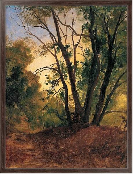 Постер Тропинка и деревья с типом исполнения На холсте в раме в багетной раме 221-02