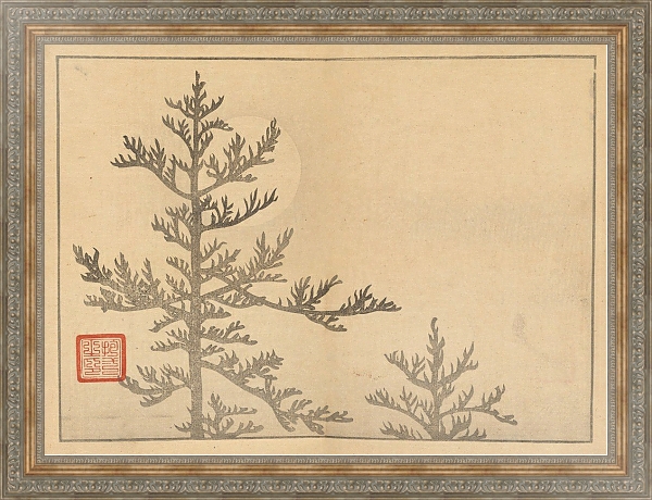 Постер Sakai Hōitsu gajō, Pl.16 с типом исполнения На холсте в раме в багетной раме 484.M48.310