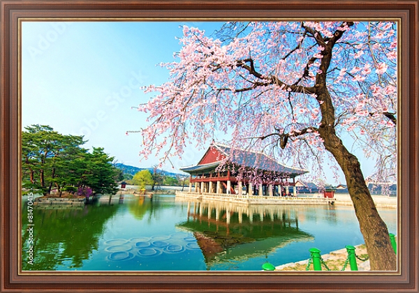 Постер Кенбоккун, дворец в вишневом саду весной, Южная Корея с типом исполнения На холсте в раме в багетной раме 35-M719P-83