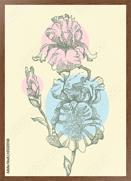 Постер Ирисы с разноцветными кругами с типом исполнения На холсте в раме в багетной раме 1727.4310