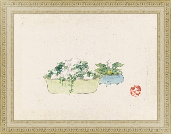 Постер Bonsai kabenzu, Pl.10 с типом исполнения Акварель в раме в багетной раме 484.M48.725