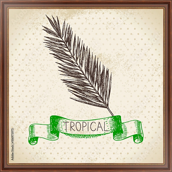 Постер Иллюстрация с пальмовым листом с типом исполнения На холсте в раме в багетной раме 35-M719P-83