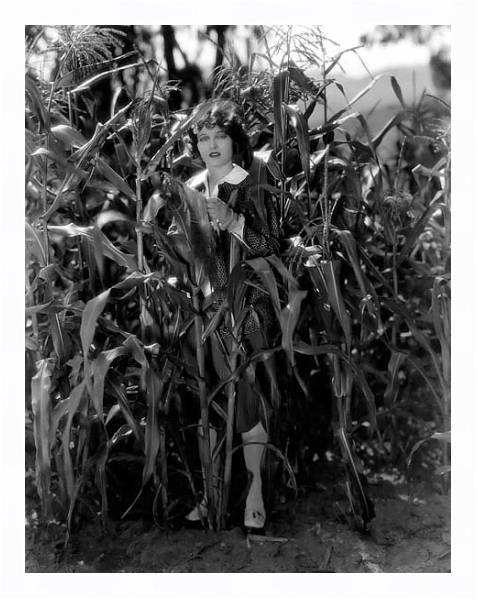 Постер Griffith, Corinne 11 с типом исполнения На холсте в раме в багетной раме 221-03