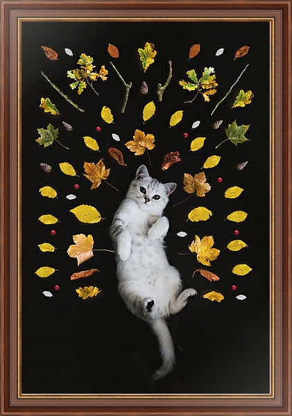 Постер Кот и осенние листья с типом исполнения На холсте в раме в багетной раме 35-M719P-83