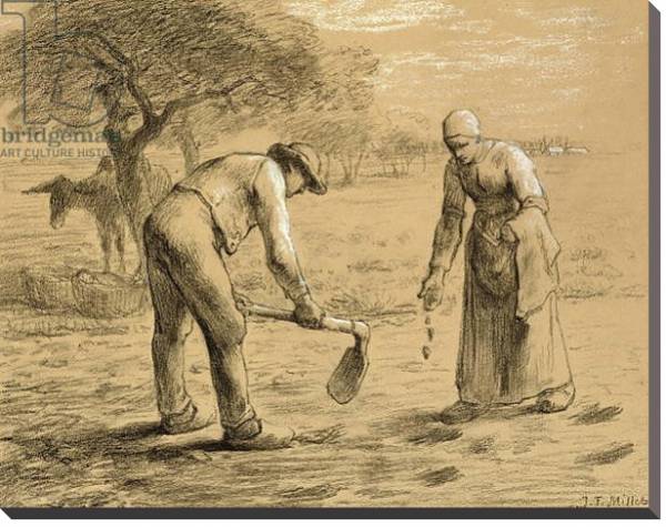 Постер Peasants planting potatoes с типом исполнения На холсте без рамы