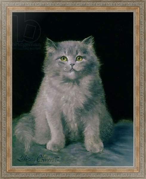 Постер Study of a cat с типом исполнения На холсте в раме в багетной раме 484.M48.310