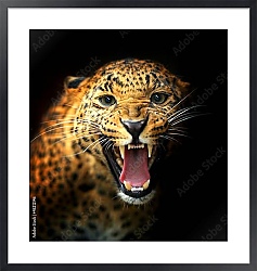 Постер Леопард 2
