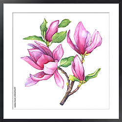 Постер Цветы фиолетовой магнолии liliiflora 
