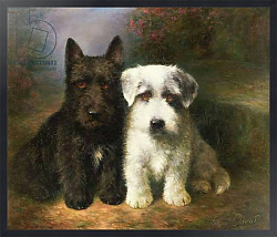 Постер Чевиот Лилиан A Scottish and a Sealyham Terrier