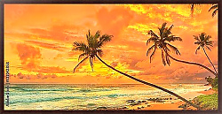 Постер Шри-Ланка. Побережье с оранжевым закатом
