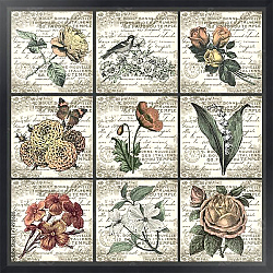 Постер Ретро коллекция цветов