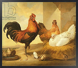 Постер Барлоу Франсис Domestic Cock, Hens and Chicks, 1655