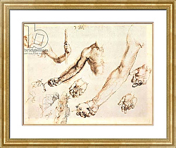 Постер Дюрер Альбрехт Study of male hands and arms