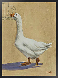 Постер Сандерс Франческа (совр) Farm goose, 2016