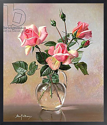 Постер Уильямс Альберт (совр) AB69 Pink Roses in a Glass Jug