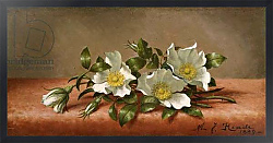 Постер Хид Мартин Cherokee Roses, 1889