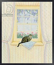 Постер Дитц (совр) Wisteria Cat