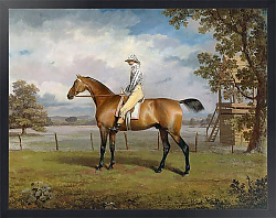 Постер Гаррад Джордж Portrait of a Racehorse Possibly Disguise with Jockey Up