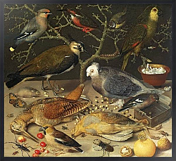 Постер Флегель Георг Still Life of Birds and Insects, 1637