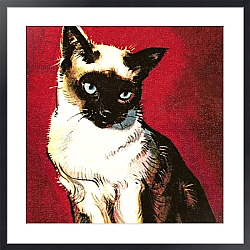 Постер МакКоннел Джеймс Siamese cat