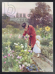 Постер Бартон Роуз Grandad's Garden