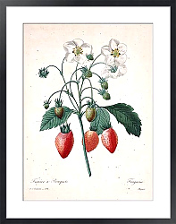 Постер Ветка клубники с ягодами