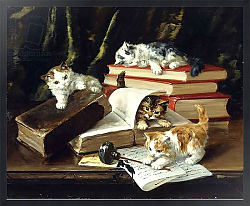 Постер Kittens Playing on Desk,