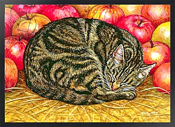 Постер Дитц (совр) Left-Hand Apple-Cat, 1995