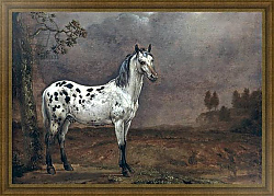 Постер Поттер Паулюс The Piebald Horse, 1653