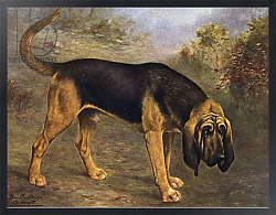 Постер Чевиот Лилиан The Bloodhound Champion Hengist