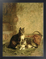 Постер Адам Юлиус Cats, 1883