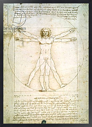 Постер Леонардо да Винчи (Leonardo da Vinci) The Proportions of the human figure, c.1492