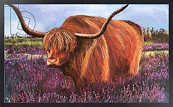Постер Старкей Марго (совр) Highland Bull in Scotish Heather, 2018